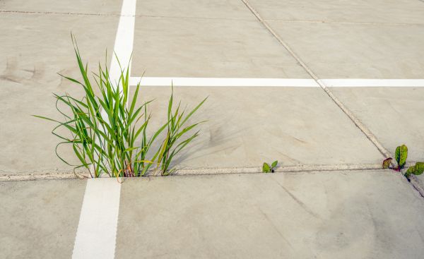 Concrete Parking Installation in Daphne